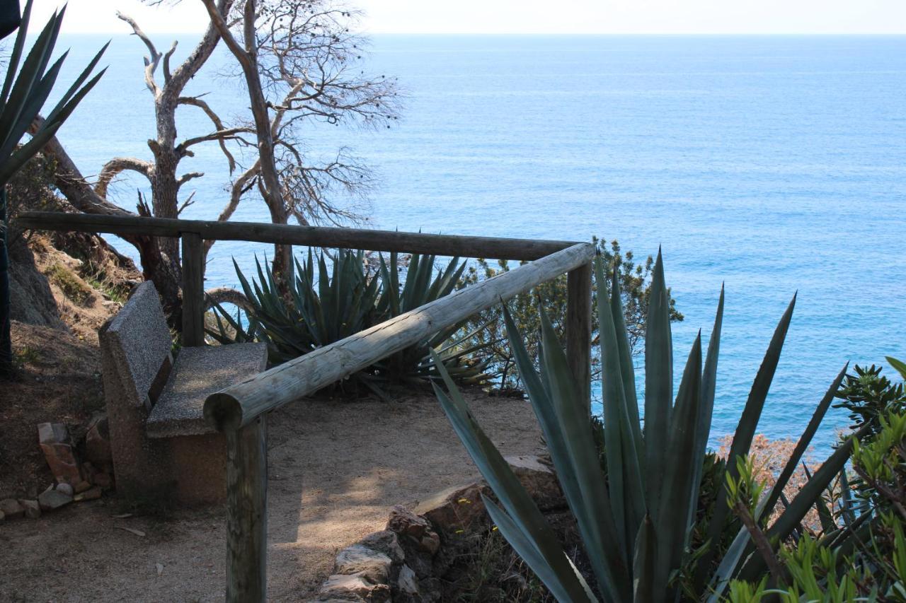Apartamento A 100M De La Playa Τόσα ντε Μαρ Εξωτερικό φωτογραφία